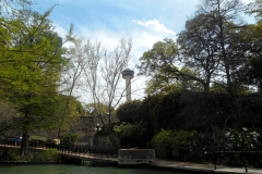 View at the Tower of the Americas